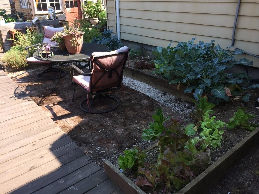  photo A438856C-02CC-4331-99B5-A5080AF937F9.jpg